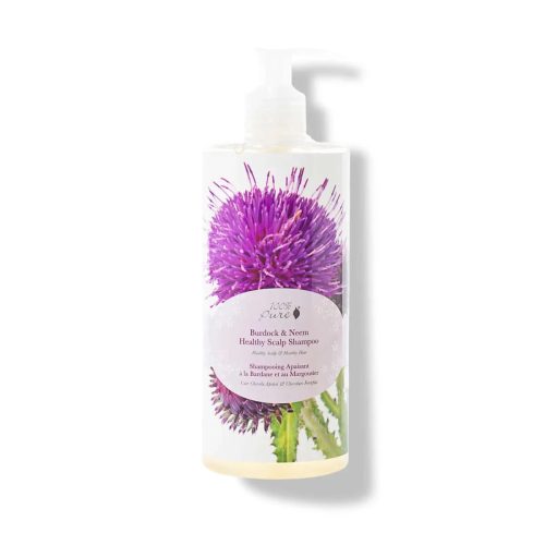 1HCSBNHS13OZ Burdock Neem Healthy Scalp Shampoo