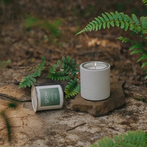 Forest Fern Candle