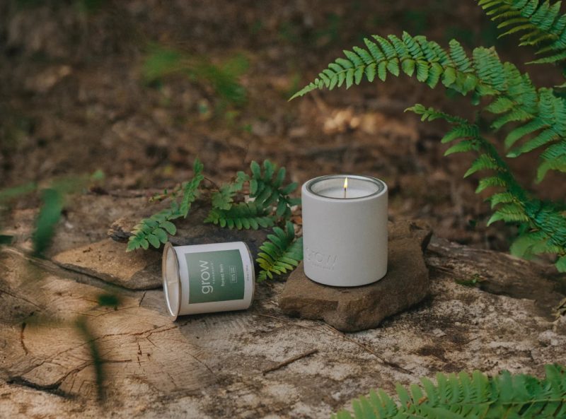 Forest Fern Candle