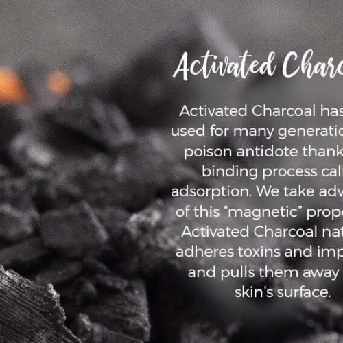 key ingredient activated charcoal