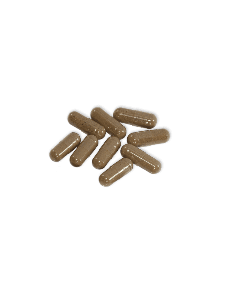 promix bovine liver capules 1000x 8992c1b6 1e65 4352 99ef 685f5e76faef