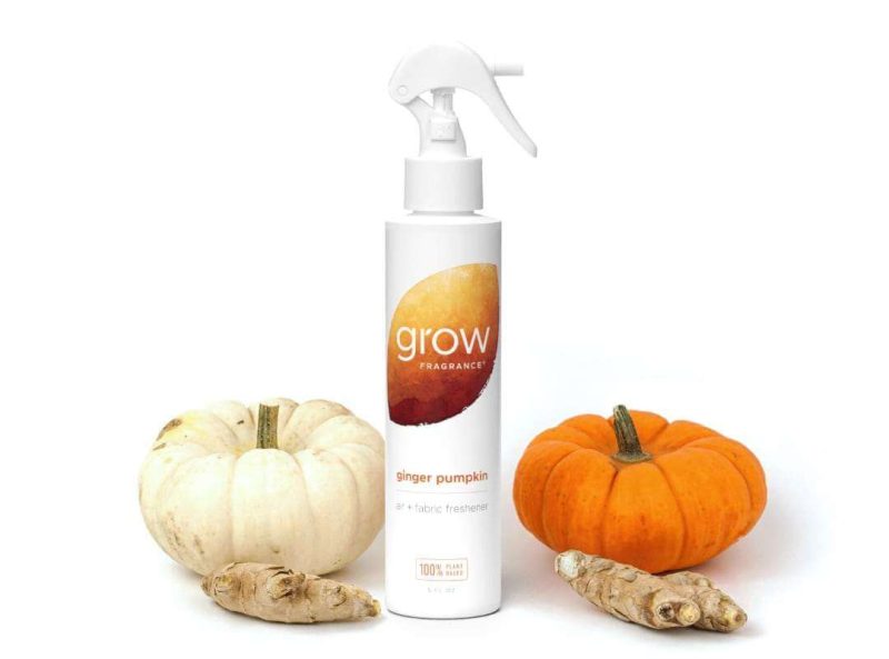 spray scene ginger pumpkin